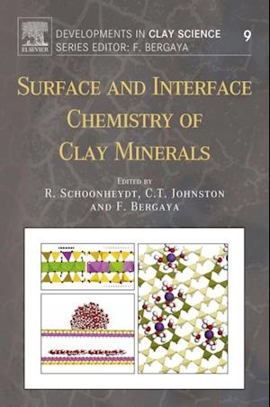 Surface and Interface Chemistry of Clay Minerals