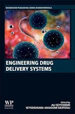 Engineering Drug Delivery Systems