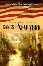 The Gangs Of New York