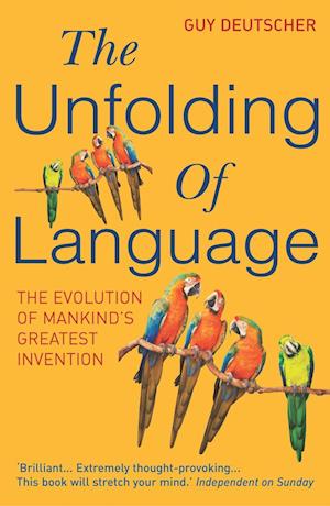 The Unfolding Of Language
