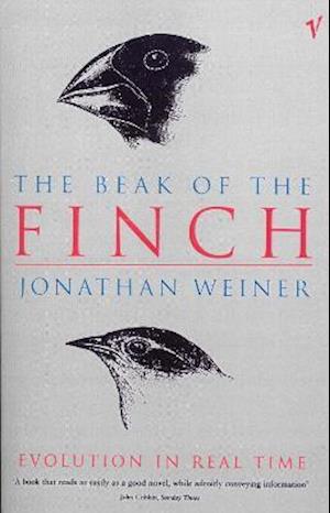 The Beak Of The Finch