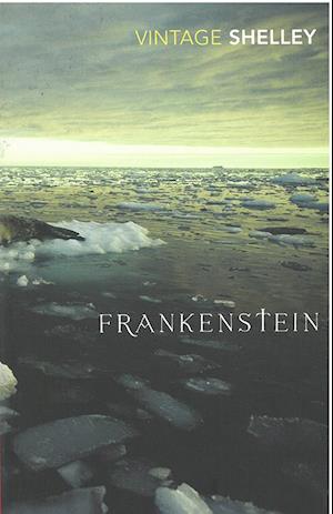 Frankenstein (PB) - Vintage Classics - B-format