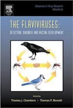 The Flaviviruses: Detection, Diagnosis and Vaccine Development