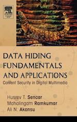 Data Hiding Fundamentals and Applications