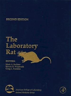 The Laboratory Rat