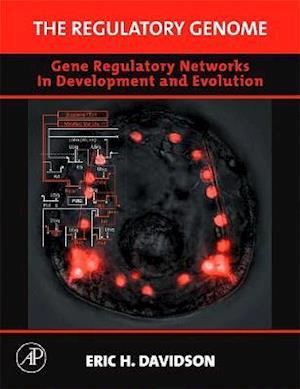 The Regulatory Genome