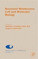 Basement Membranes: Cell and Molecular Biology