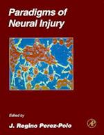Paradigms of Neural Injury