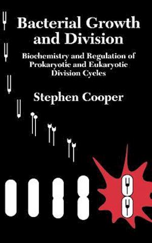 Bacterial Growth and Division