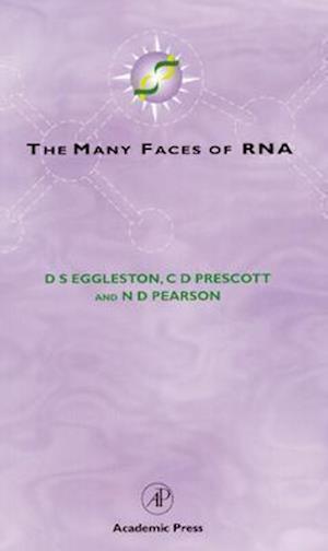 The Many Faces of RNA