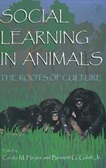 Social Learning In Animals