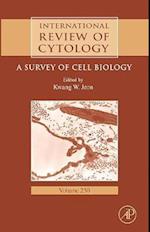 International Review of Cytology