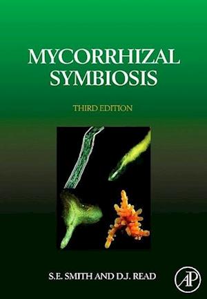 Mycorrhizal Symbiosis