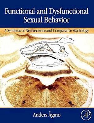 Functional and Dysfunctional Sexual Behavior