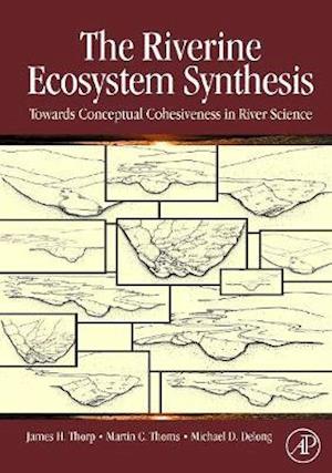 The Riverine Ecosystem Synthesis