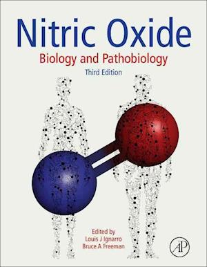 Nitric Oxide