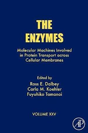 The Enzymes