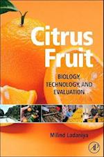 Citrus Fruit