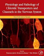 Physiology and Pathology of Chloride Transporters and Channels in the Nervous System