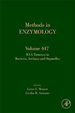 RNA Turnover in Bacteria, Archaea and Organelles