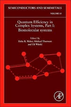 Quantum Efficiency in Complex Systems, Part I