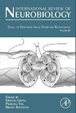 Essays on Peripheral Nerve Repair and Regeneration