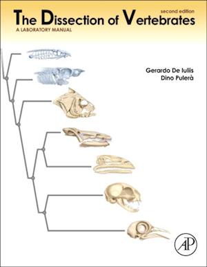 Dissection of Vertebrates