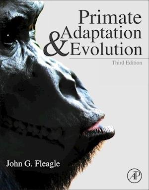 Primate Adaptation and Evolution