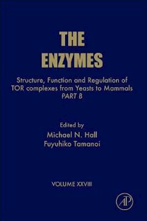 Structure, Function and Regulation of TOR complexes from Yeasts to Mammals