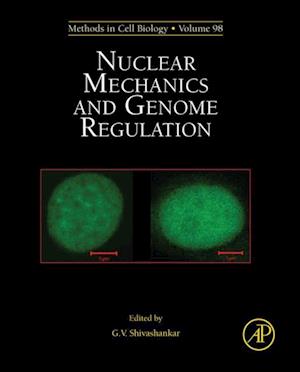 Nuclear Mechanics and Genome Regulation