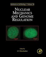 Nuclear Mechanics and Genome Regulation