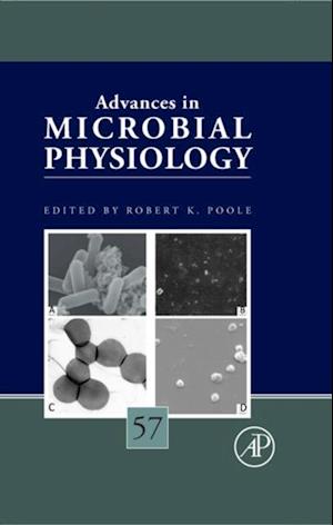 Advances in Microbial Physiology