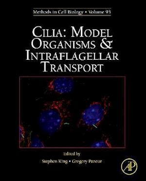 Cilia: Model Organisms and Intraflagellar Transport