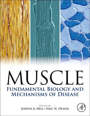 Muscle 2-Volume Set