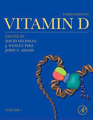 Vitamin D