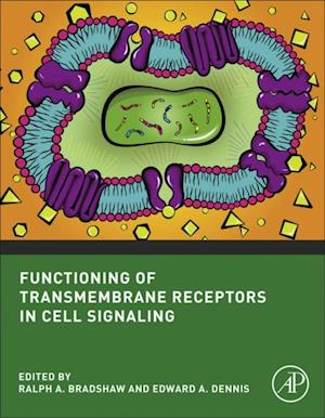 Functioning of Transmembrane Receptors in Signaling Mechanisms