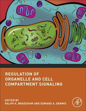 Regulation of Organelle and Cell Compartment Signaling