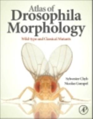 Atlas of Drosophila Morphology