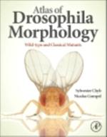 Atlas of Drosophila Morphology