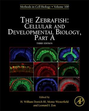 Zebrafish: Cellular and Developmental Biology, Part A