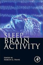 Sleep and Brain Activity