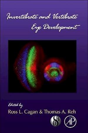 Invertebrate and Vertebrate Eye Development