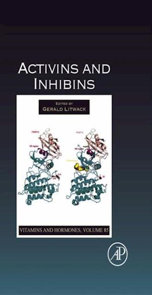 Activins and Inhibins