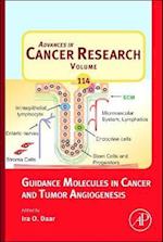 Guidance Molecules in Cancer and Tumor Angiogenesis
