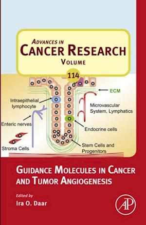 Guidance Molecules in Cancer and Tumor Angiogenesis