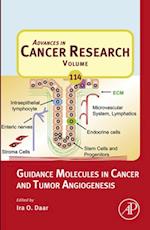 Guidance Molecules in Cancer and Tumor Angiogenesis