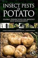 Insect Pests of Potato