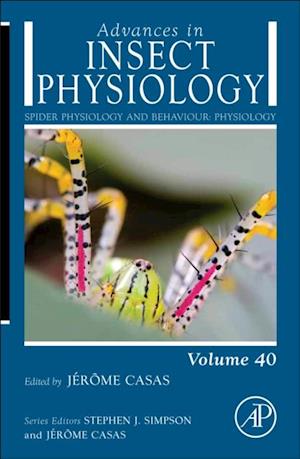 Spider Physiology and Behaviour