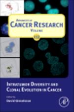Intratumor Diversity and Clonal Evolution in Cancer
