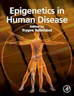 Epigenetics in Human Disease